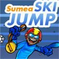 game pic for Ski jump